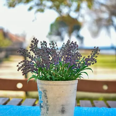 Guedin Sea Side Maisonette *